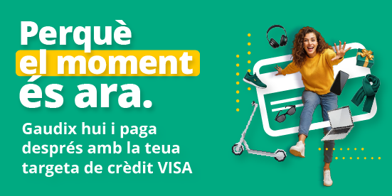 TARJETAS VISA