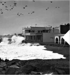 Esperant l'abraçada de la mar