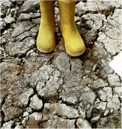 El charco de los niños	