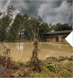 Canvi climàtic… conseqüències desastroses.