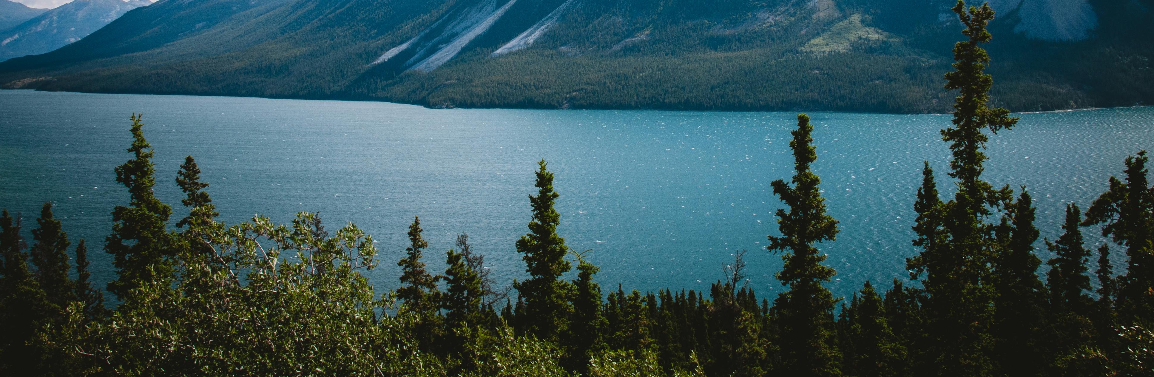 PAISAJE MONTAÑAS (va)