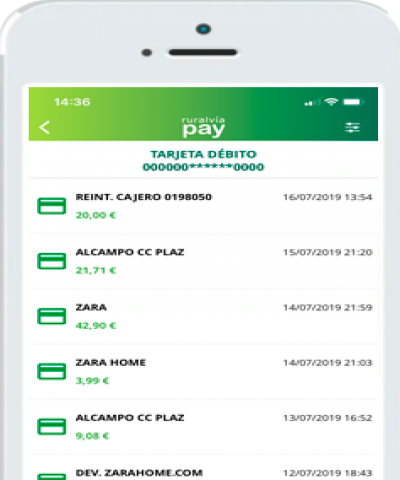Consulta moviments