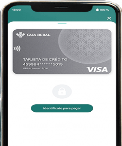 Aplicació Ruralvía Pay