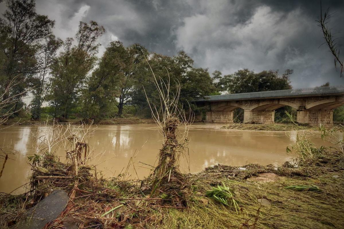 foto guanyadora mostra del canvi 2022