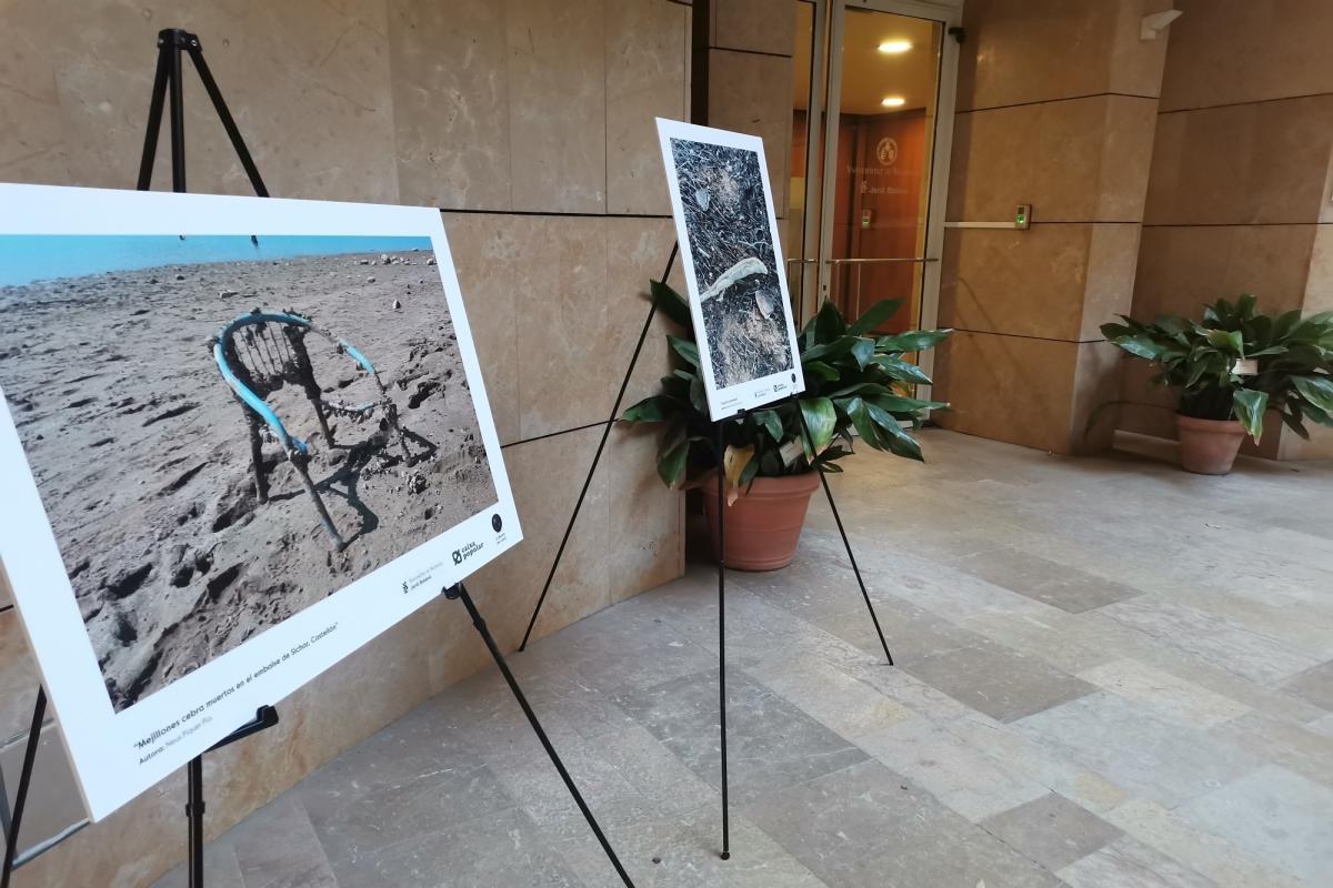 Convocatòria Mostra del Canvi 2024