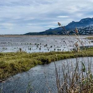 Aliança amb Acció Ecologista Agró