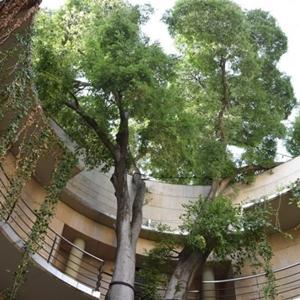 Aliança amb el Jardí Botànic de València