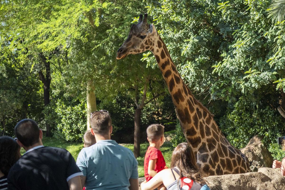Caixa Popular y la Fundación BIOPARC se unen por la conservación de la biodiversidad