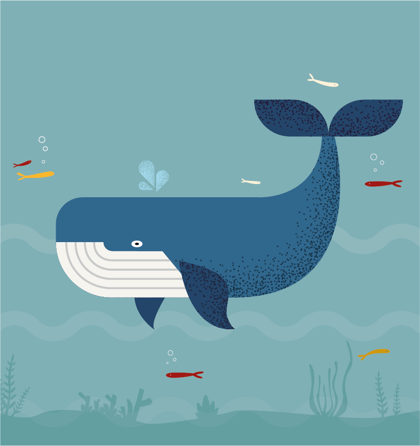 Cuida i protegix l'entorn que t'envolta